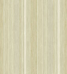  KT Exclusive Kashmir nk90105
