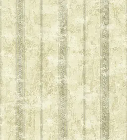  KT Exclusive Kashmir nk90302