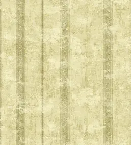  KT Exclusive Kashmir nk90305