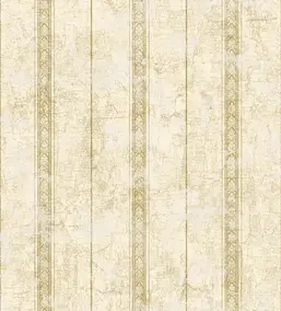  KT Exclusive Kashmir nk90307