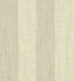  KT Exclusive Kashmir nk90907