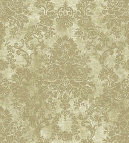  KT Exclusive Kashmir nk91207