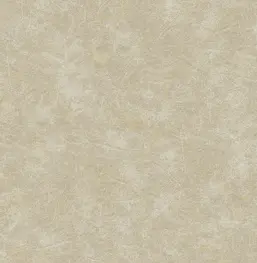  KT Exclusive Serafina ms81207
