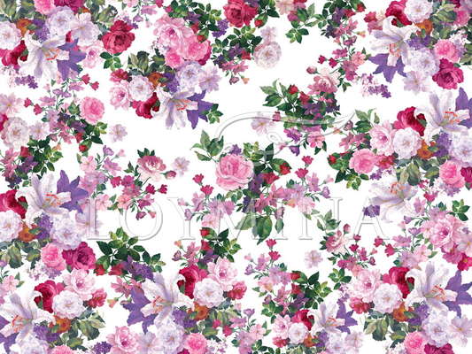 ���� Loymina Classic II V9 002 B-1 - ���� 2