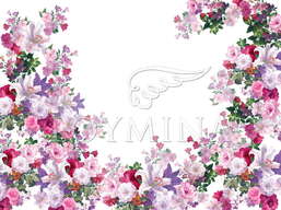 ���� Loymina Classic II V9 002 B-2