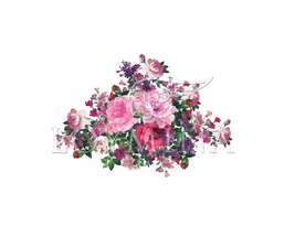 ���� Loymina Classic II V9 002 B-3