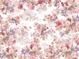  Loymina Classic II V9 0021 B-1