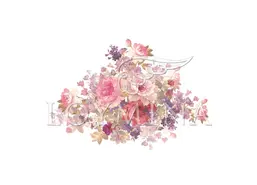  Loymina Classic II V9 0021 B-4