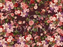  Loymina Classic II V9 004 B-1