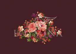 ���� Loymina Classic II V9 004 B-4