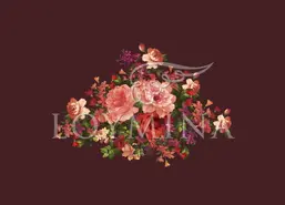  Loymina Classic II V9 004 B-4