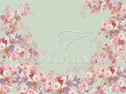 ���� Loymina Classic II V9 005 B-2