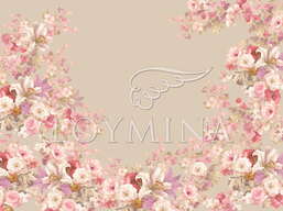 ���� Loymina Classic II V9 008 B-2