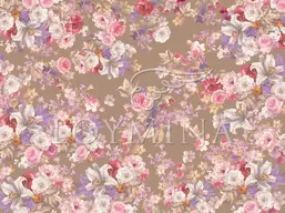  Loymina Classic II V9 010 B-1