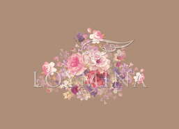 ���� Loymina Classic II V9 010 B-4