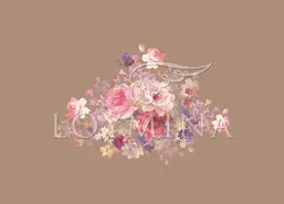  Loymina Classic II V9 010 B-4