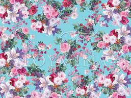 ���� Loymina Classic II V9 018 B-1