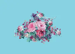  Loymina Classic II V9 018 B-4