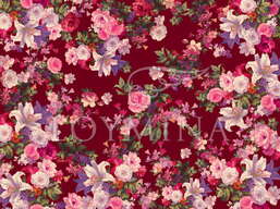 ���� Loymina Classic II V9 020 B-1