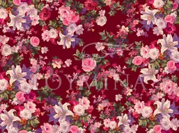  Loymina Classic II V9 020 B-1