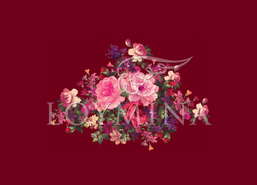 ���� Loymina Classic II V9 020 B-3