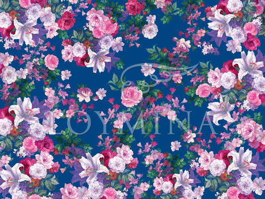 ���� Loymina Classic II V9 021 B-1 - ���� 2