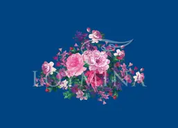  Loymina Classic II V9 021 B-4