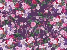  Loymina Classic II V9 022 B-1