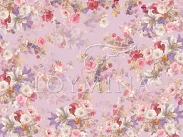  Loymina Classic II V9 221 B-1