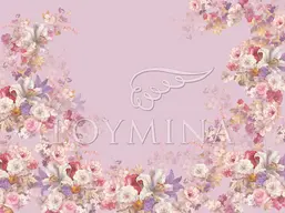  Loymina Classic II V9 221 B-2