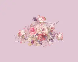  Loymina Classic II V9 221 B-4