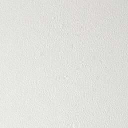 ���� AS-Creation Antivandal NC Color 4060-030