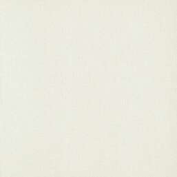 ���� AS-Creation Fiori 1614-51