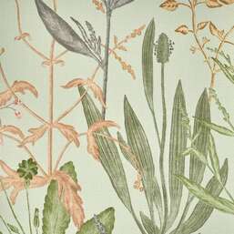 ���� AS-Creation Fiori 79207-2