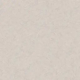  AS-Creation Pacifica Deluxe 3994-41