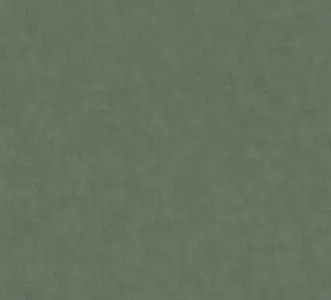  AS-Creation Geo Nordic 37536-4 -  1