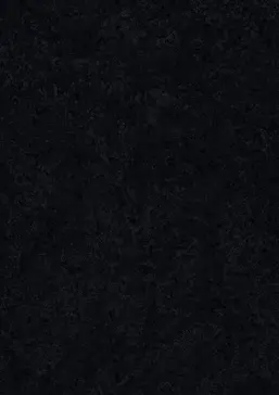  AS-Creation Versace III 93582-4