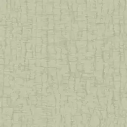  Alessandro Allori Armonia RMC1708-5