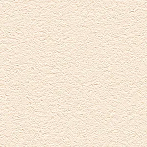  Alessandro Allori Barbara R 65438-9 -  1