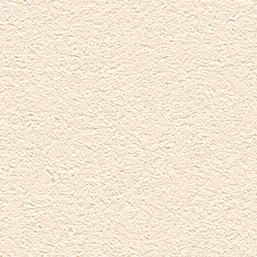  Alessandro Allori Barbara R 65438-9