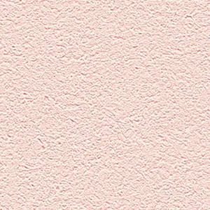  Alessandro Allori Barbara R 65438-10 -  1