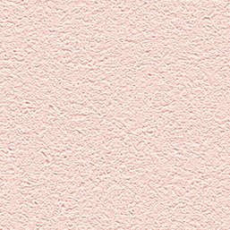  Alessandro Allori Barbara R 65438-10
