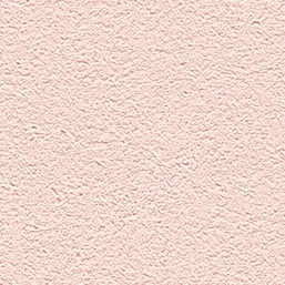  Alessandro Allori Barbara R 65438-10