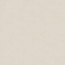 ���� Alessandro Allori  Berti 15038-4