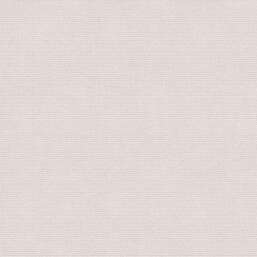 ���� Alessandro Allori  Berti 15038-5