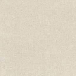 ���� Alessandro Allori  Berti 15040-9