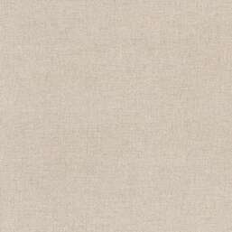 ���� Alessandro Allori  Berti 15040-11