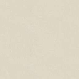 ���� Alessandro Allori  Berti 15042-4
