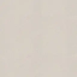  Alessandro Allori  Berti 15042-6