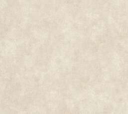 ���� Alessandro Allori  Berti 15044-4